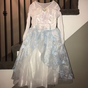 Disney Princess Halloween Costumes